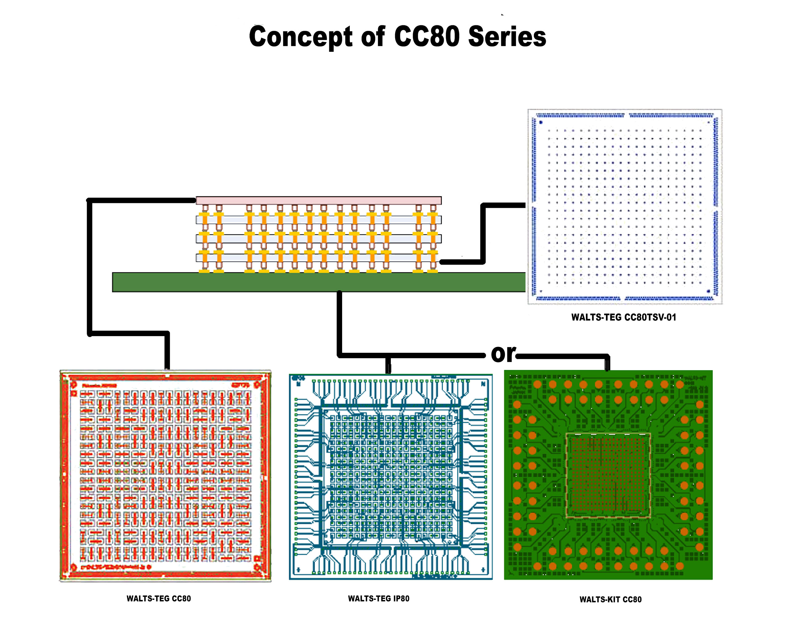 CC80TSV-0101JY