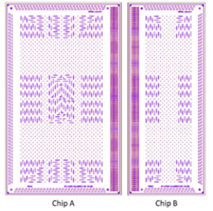 CC80MarkIV-0101JY (A/B)