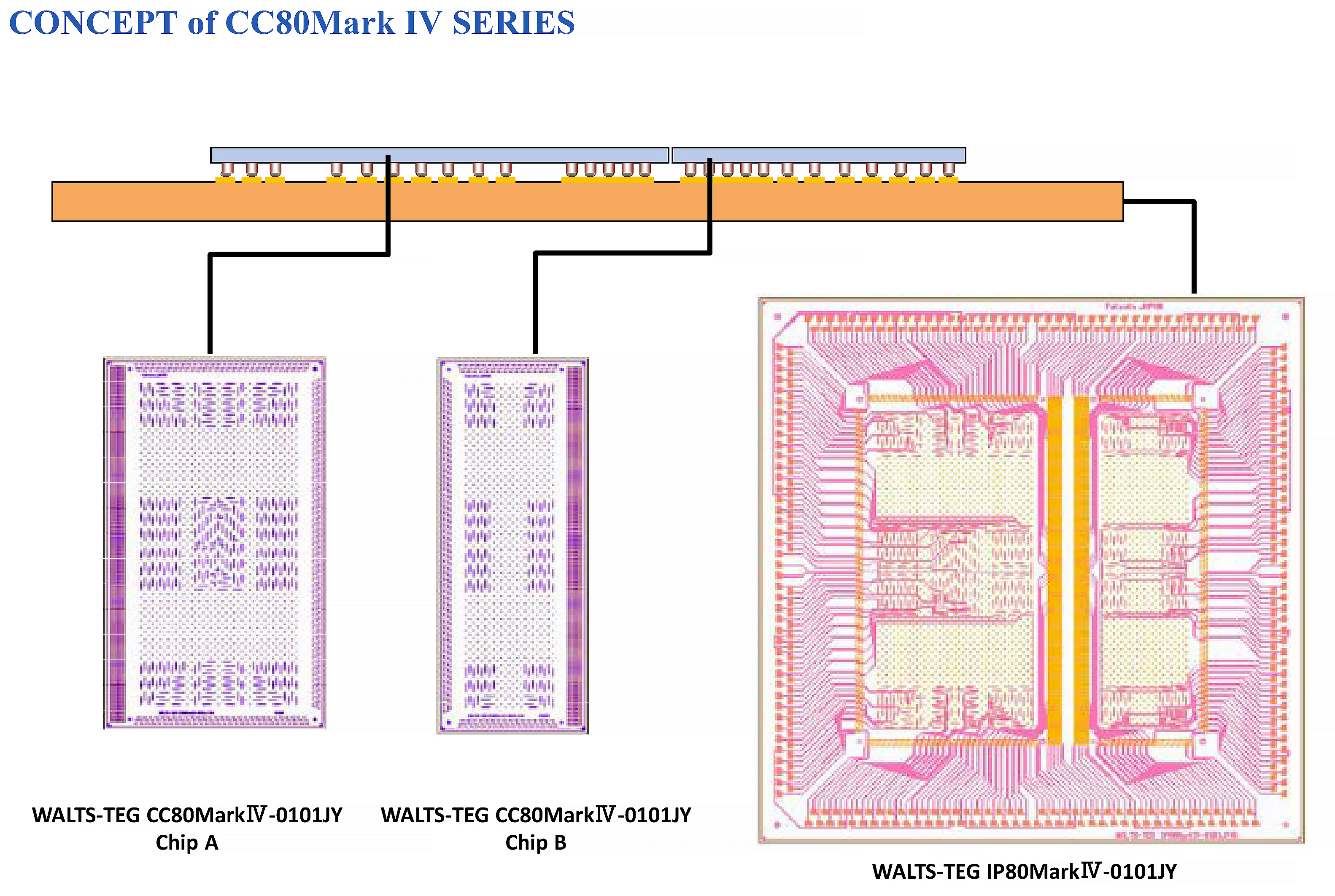 CC80MarkIV-0101JY (A/B)